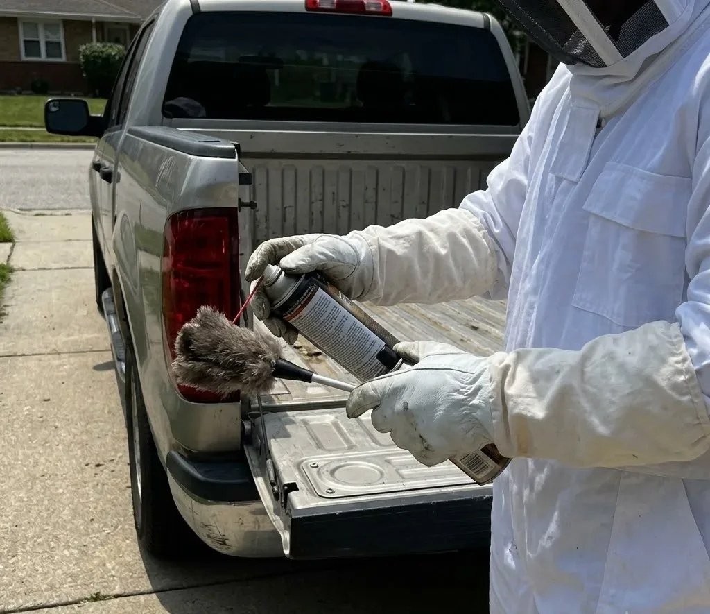 Yellowjackets control in Mount Pleasant, SC