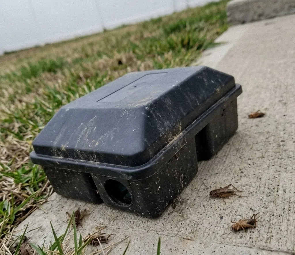Ghost Ants control in Mount Pleasant, SC